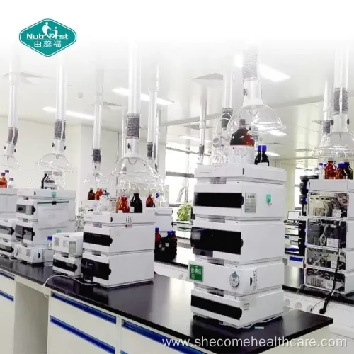 Energy Support Capsules: Ashwagandha, Turmeric & Ginger Extract Blend